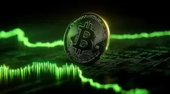 Биткоин вошел в фазу «недоверчивого ралли» — аналитик CryptoQuant